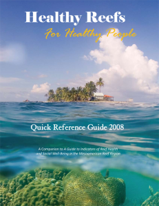 2008-Quick-Indicators-Guide-cover
