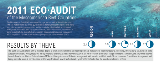 Ecoaudit-poster-cover