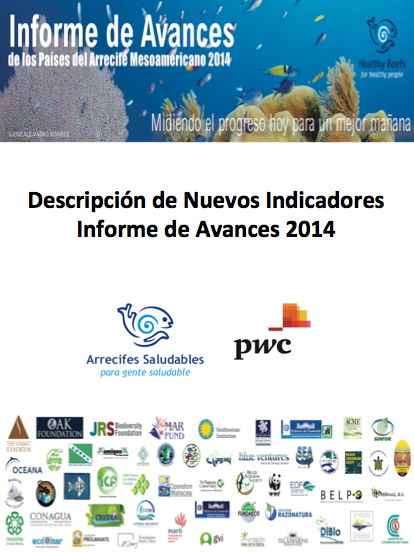 P Nuevos Indicadores Informe de Avances 2014