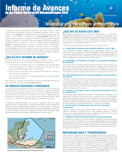 P Trifolio Informe de Avances 2014