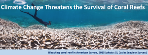 El clima amenaza a los corales